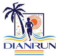 DianiRun_Logo